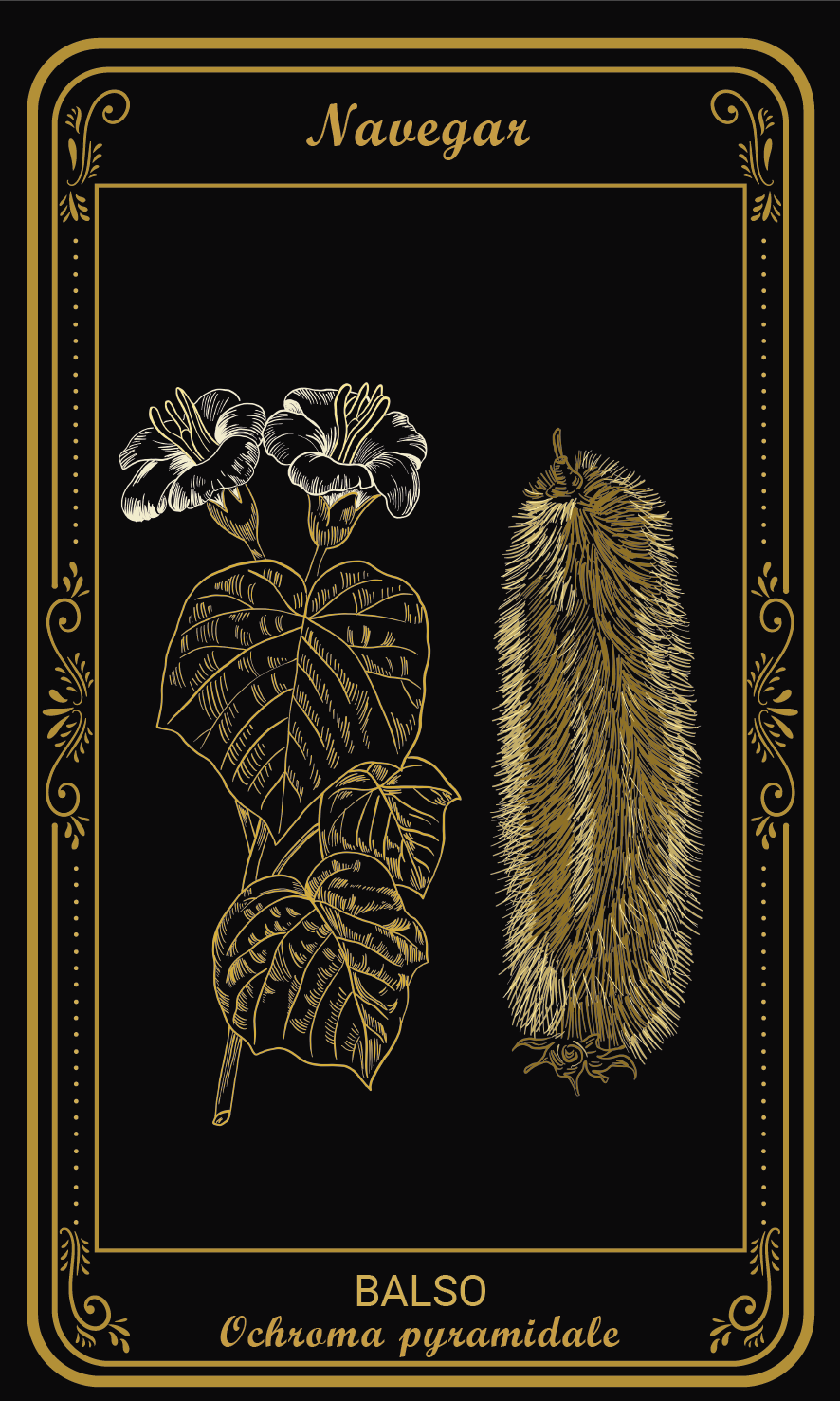 Tarot-cards