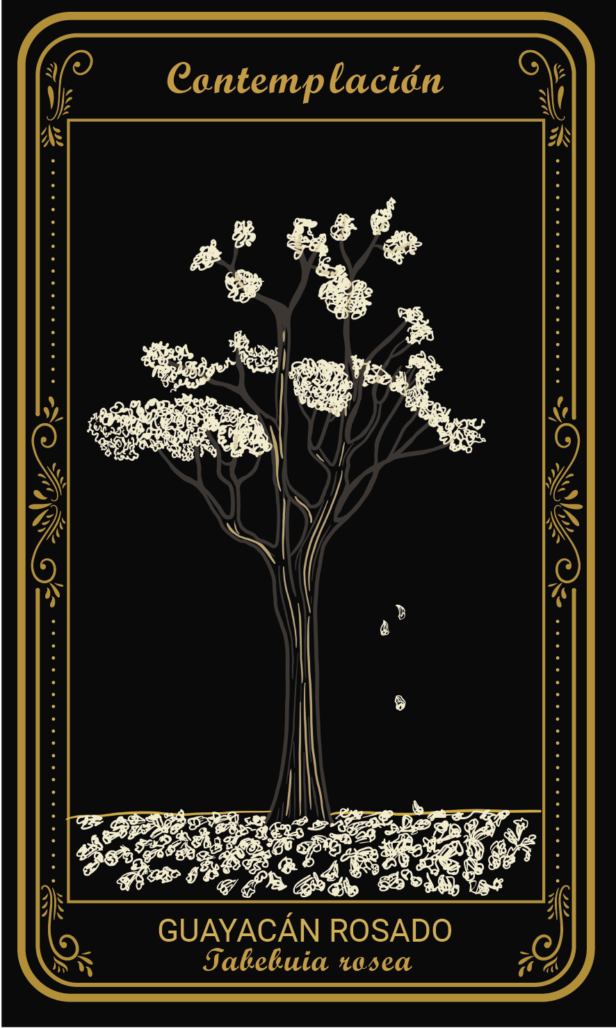 Tarot-cards