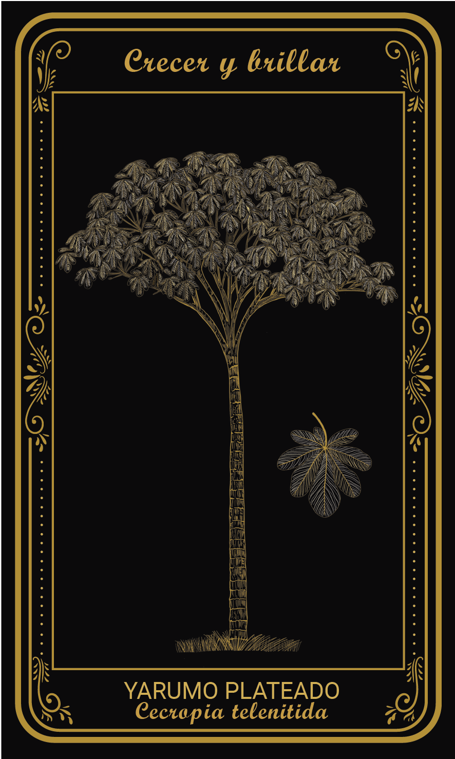 Tarot-cards