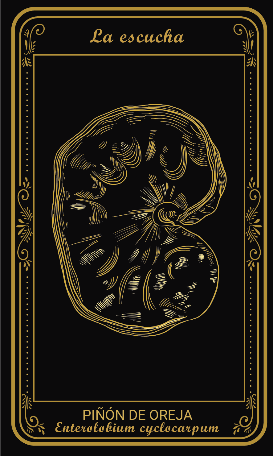 Tarot-cards