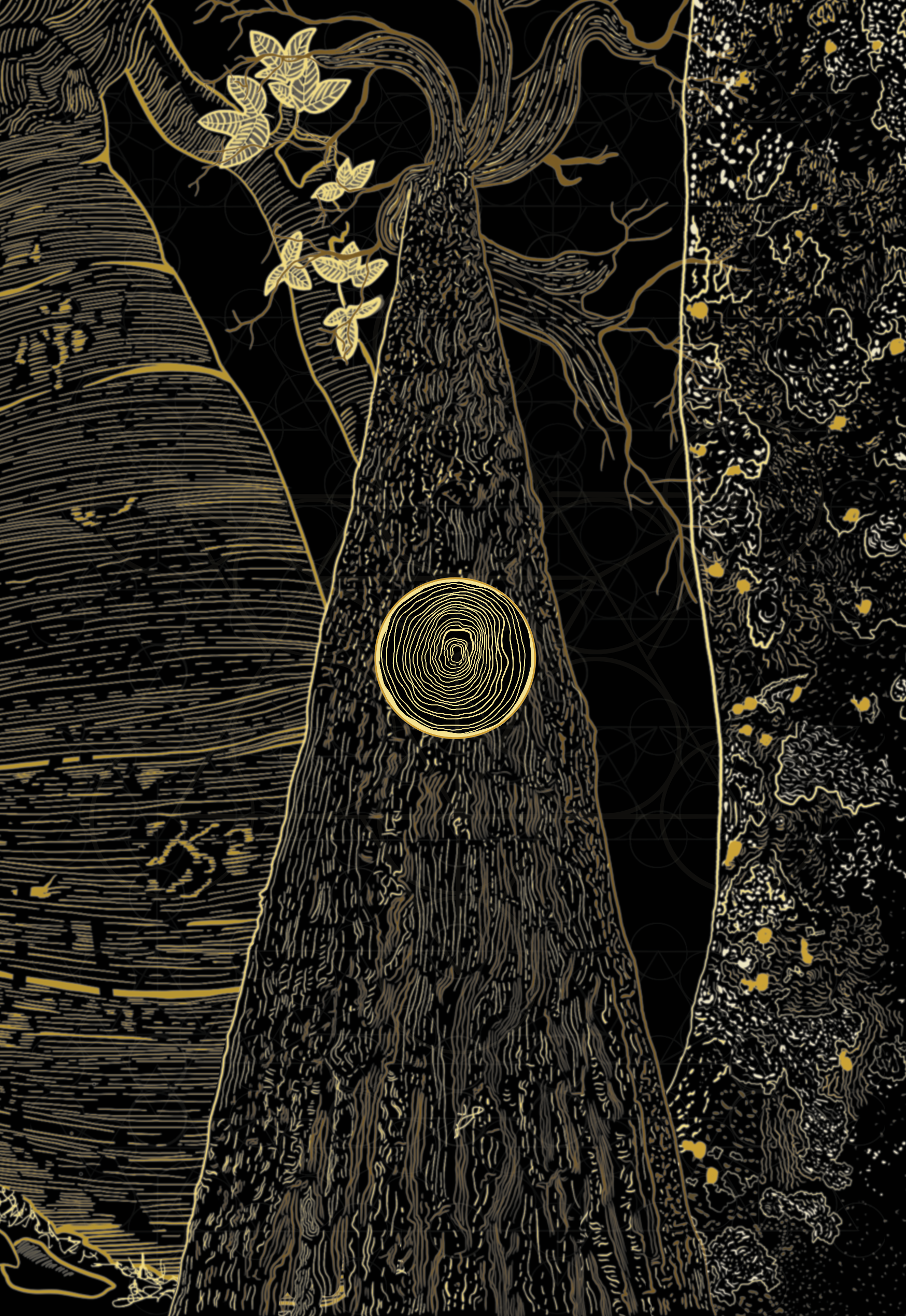 Tarot-cards