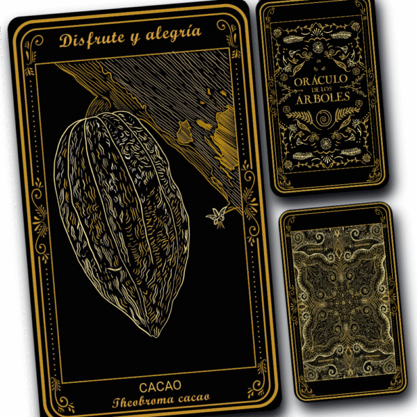 Cacao - Image 2
