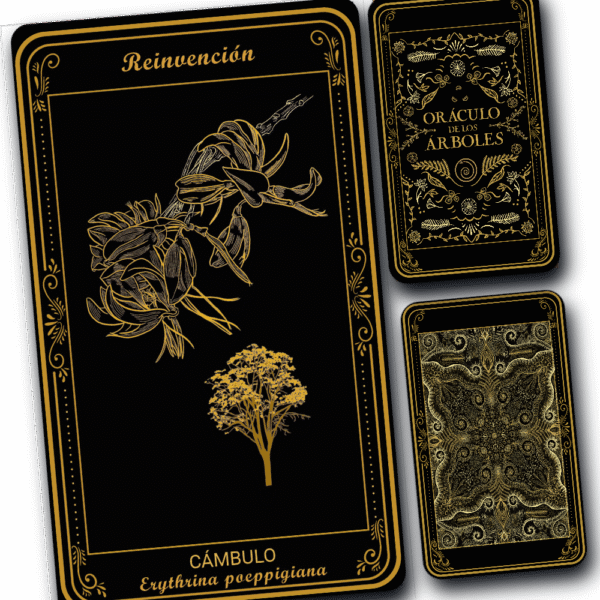 Cámbulo - Image 2