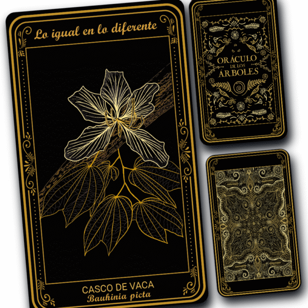 Casco de Vaca - Image 2