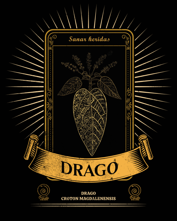Drago