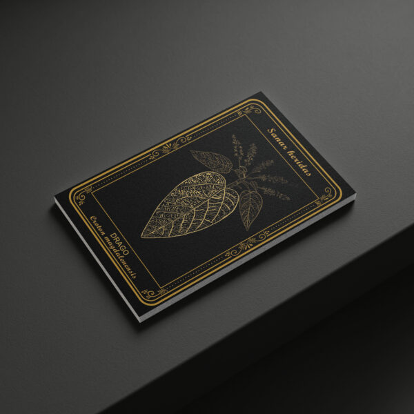 Drago - Image 3