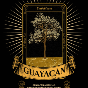 Guayacán Amarillo