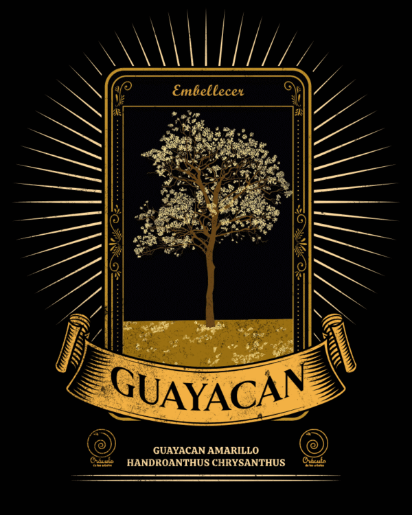 Guayacán Amarillo