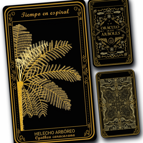 Helecho Arbóreo - Image 2