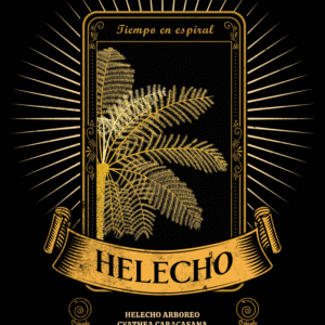 Helecho Arbóreo