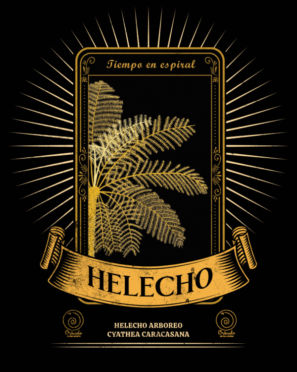 Helecho Arbóreo
