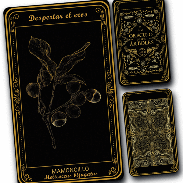 Mamoncillo - Image 3