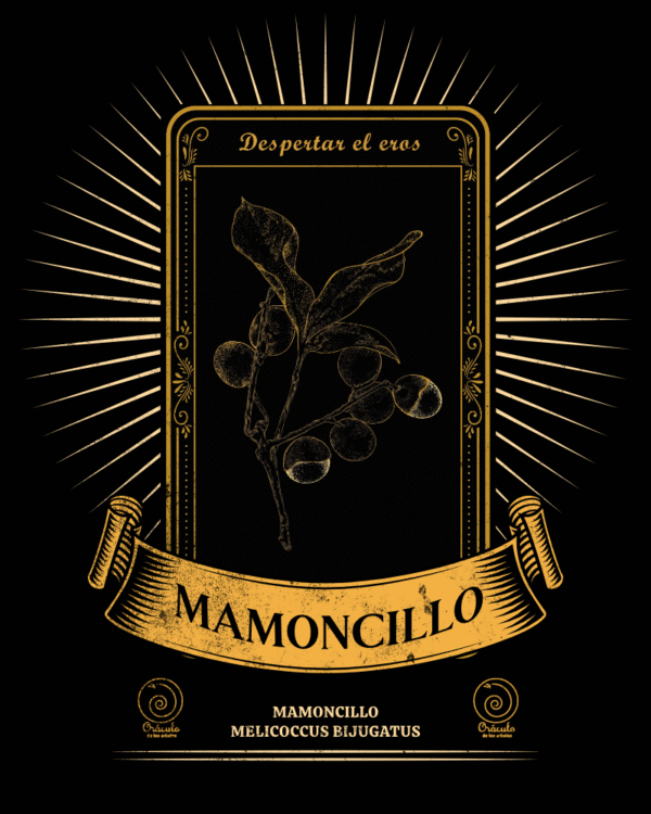 Mamoncillo