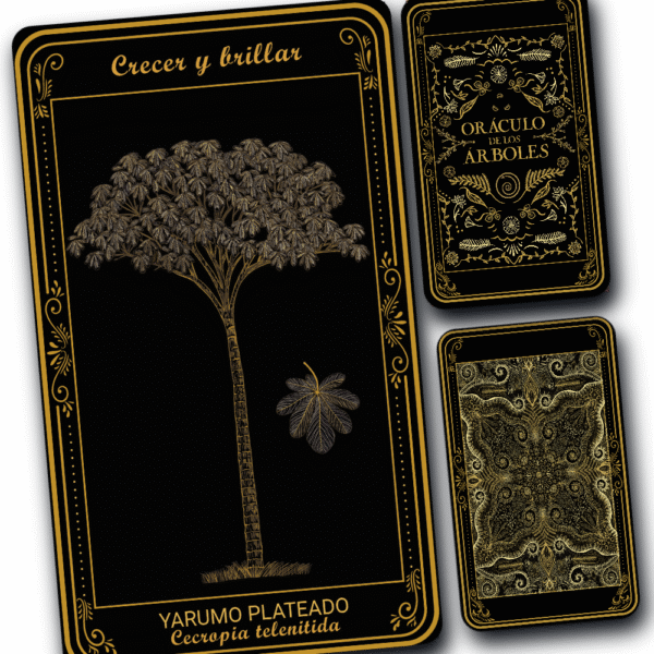 Yarumo Plateado - Image 2