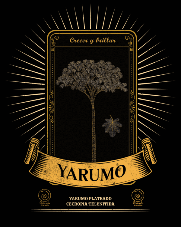 Yarumo Plateado