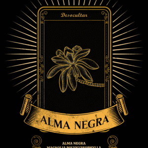 Alma negra
