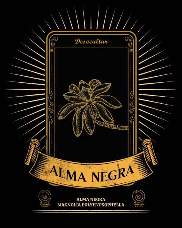 Alma negra