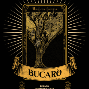 Búcaro
