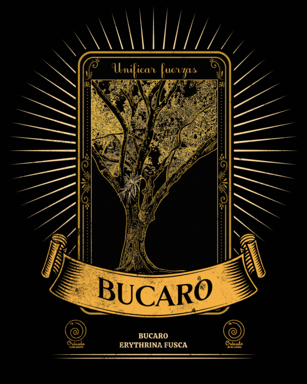 Búcaro