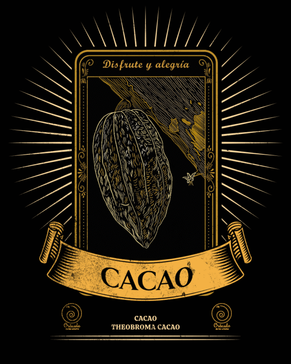 Cacao