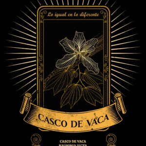 Casco de Vaca