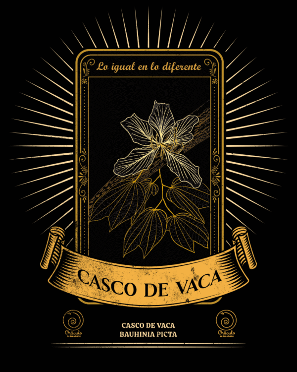 Casco de Vaca