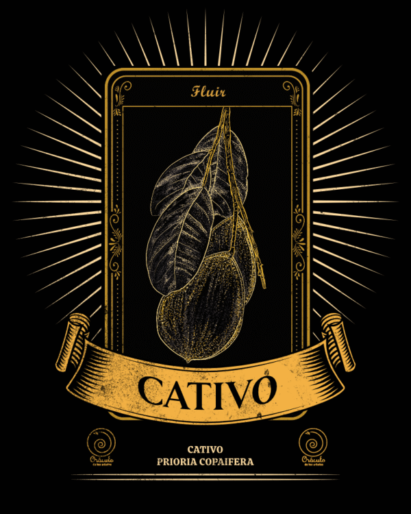 Cativo
