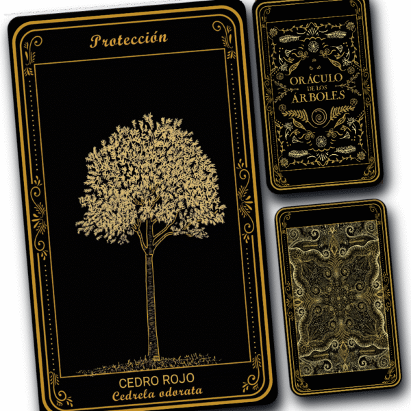 Cedro - Image 2