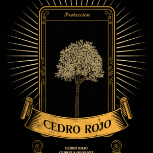 Cedro