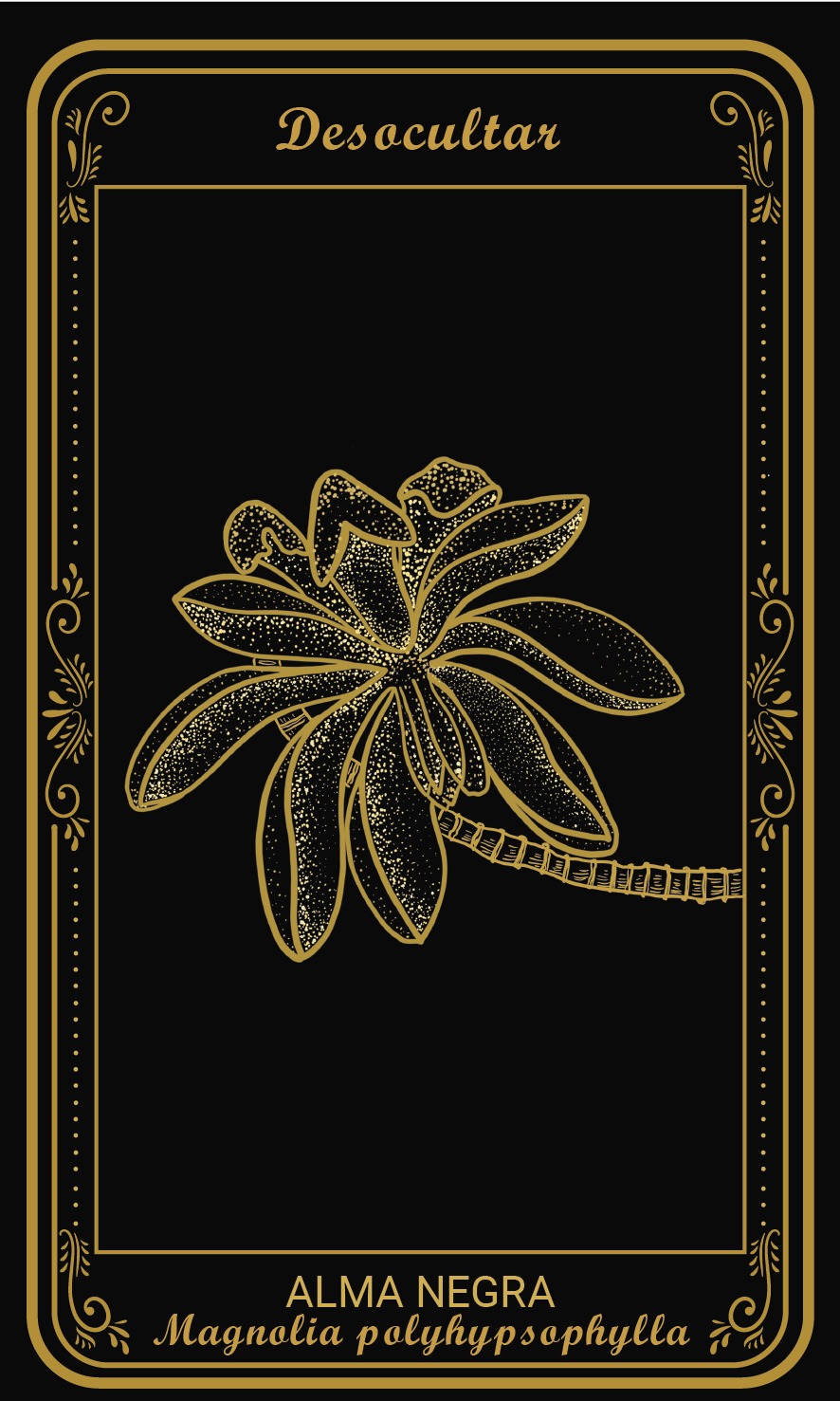 Tarot-cards
