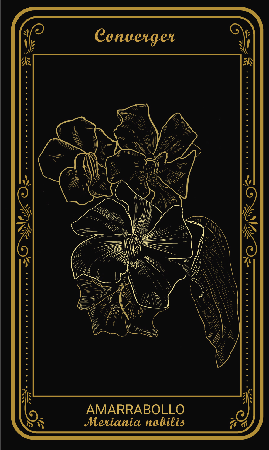 Tarot-cards