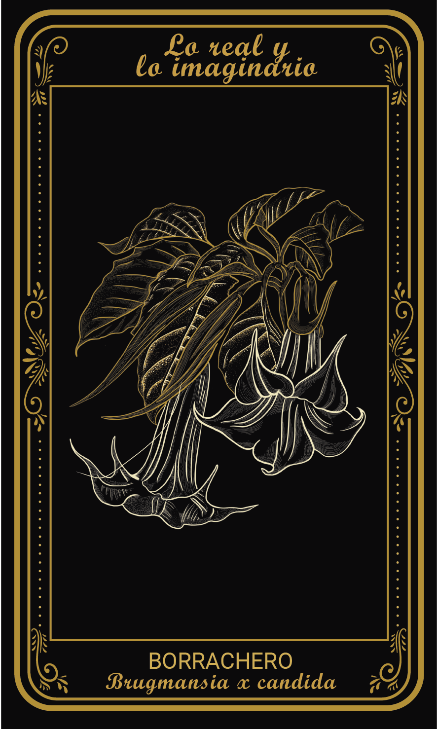 Tarot-cards