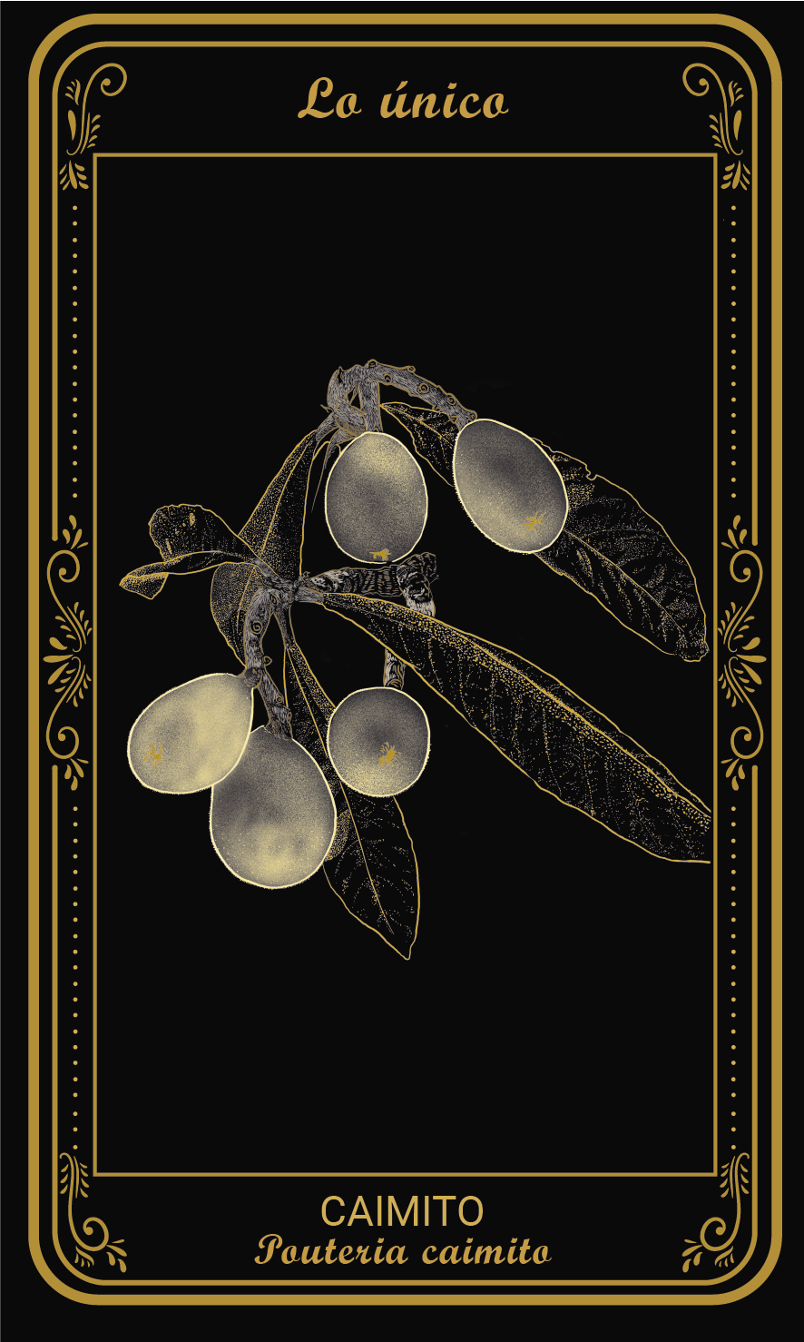 Tarot-cards