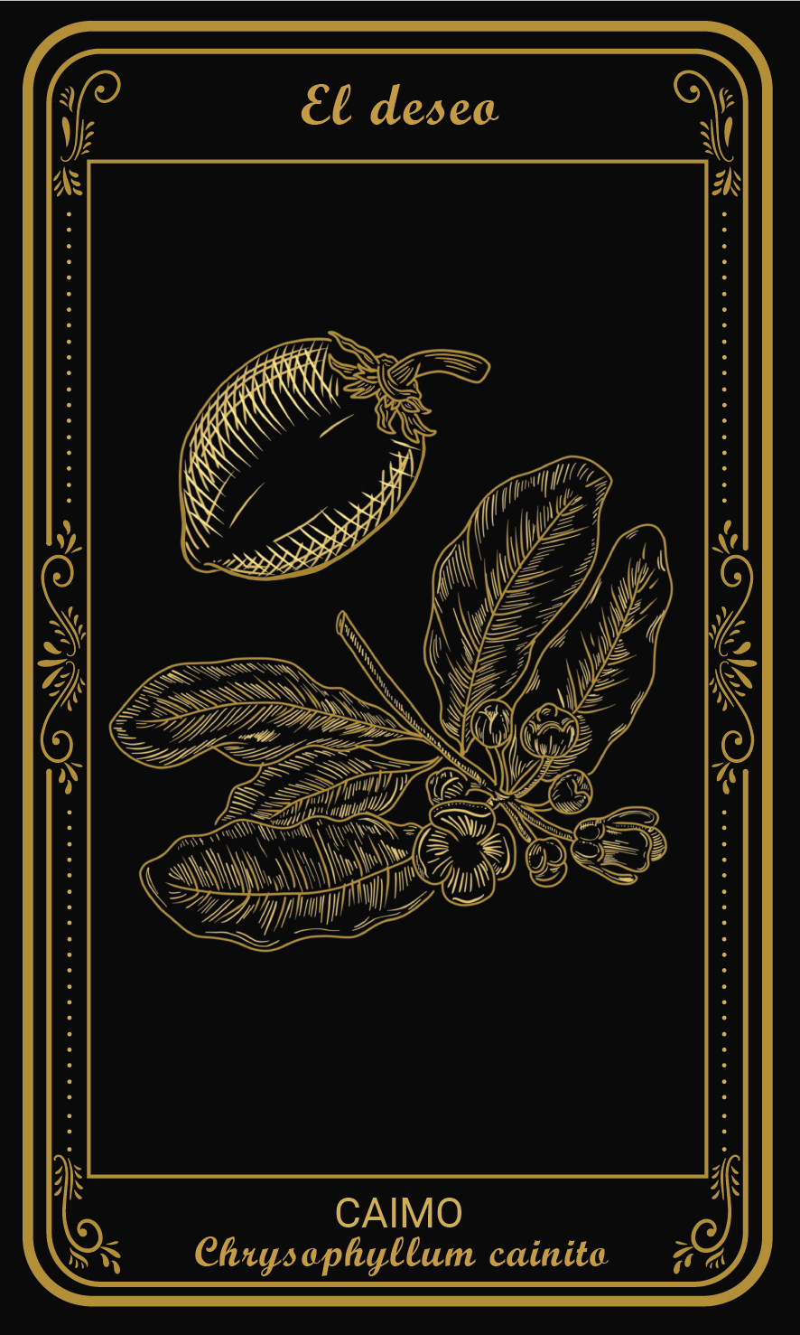 Tarot-cards