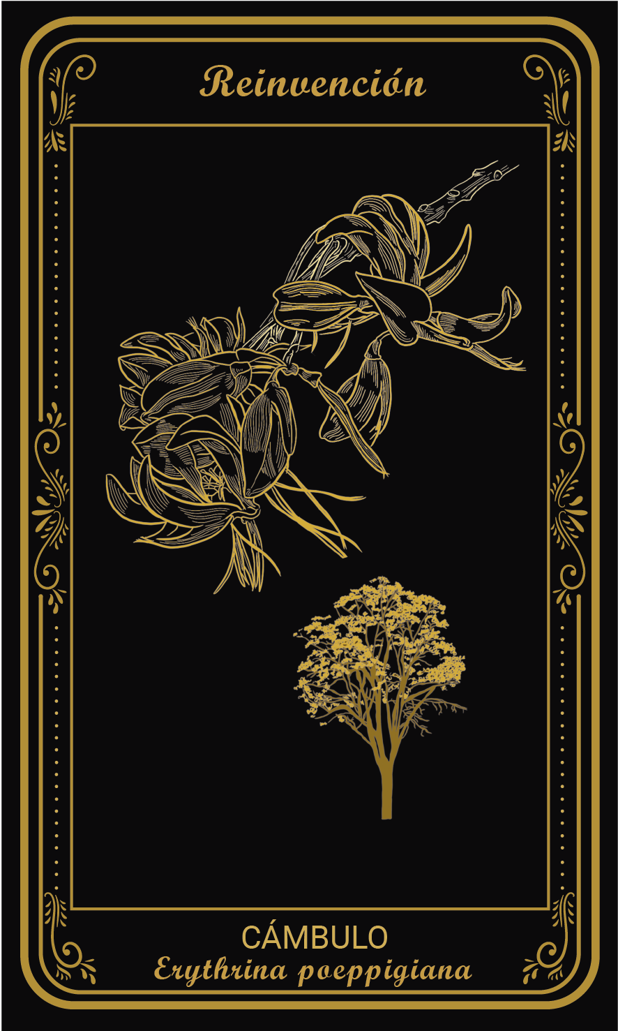 Tarot-cards