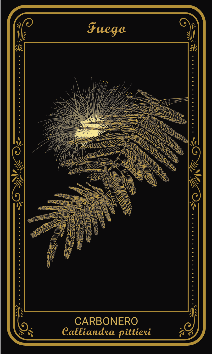 Tarot-cards