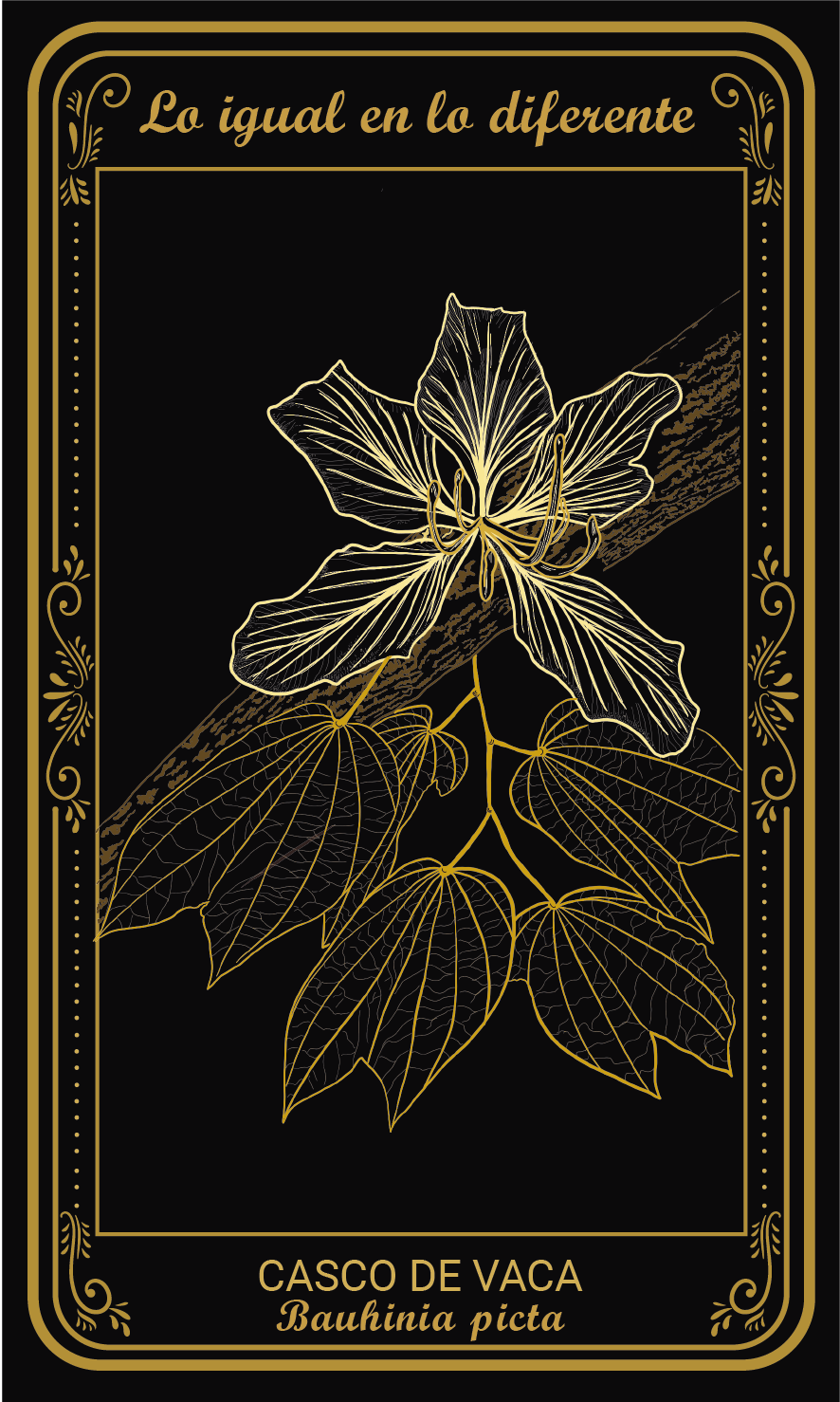 Tarot-cards