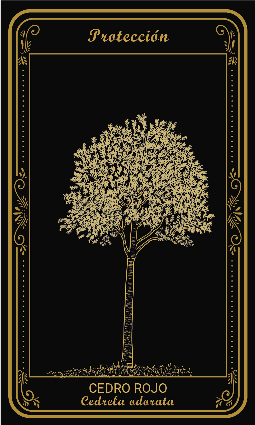 Tarot-cards