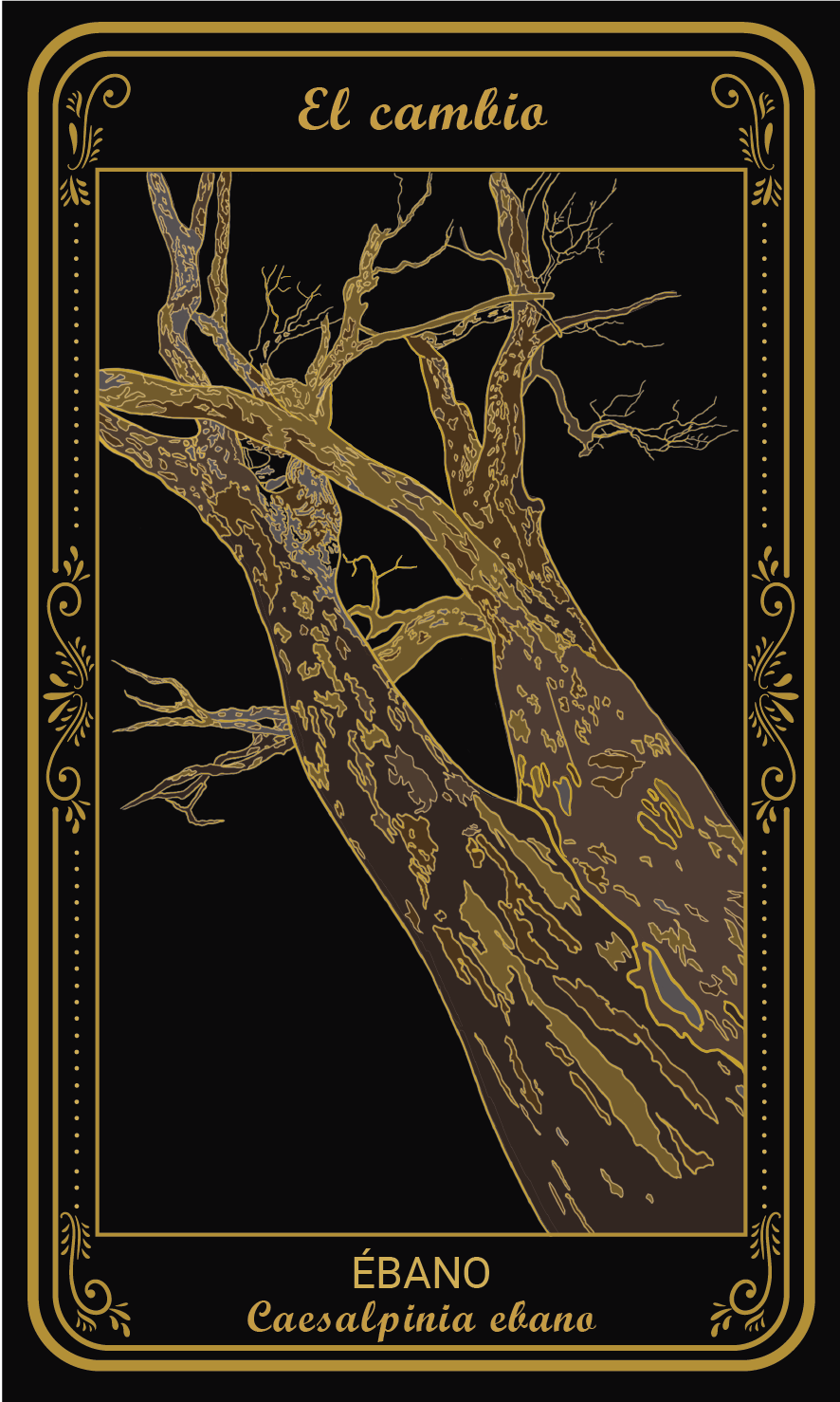Tarot-cards