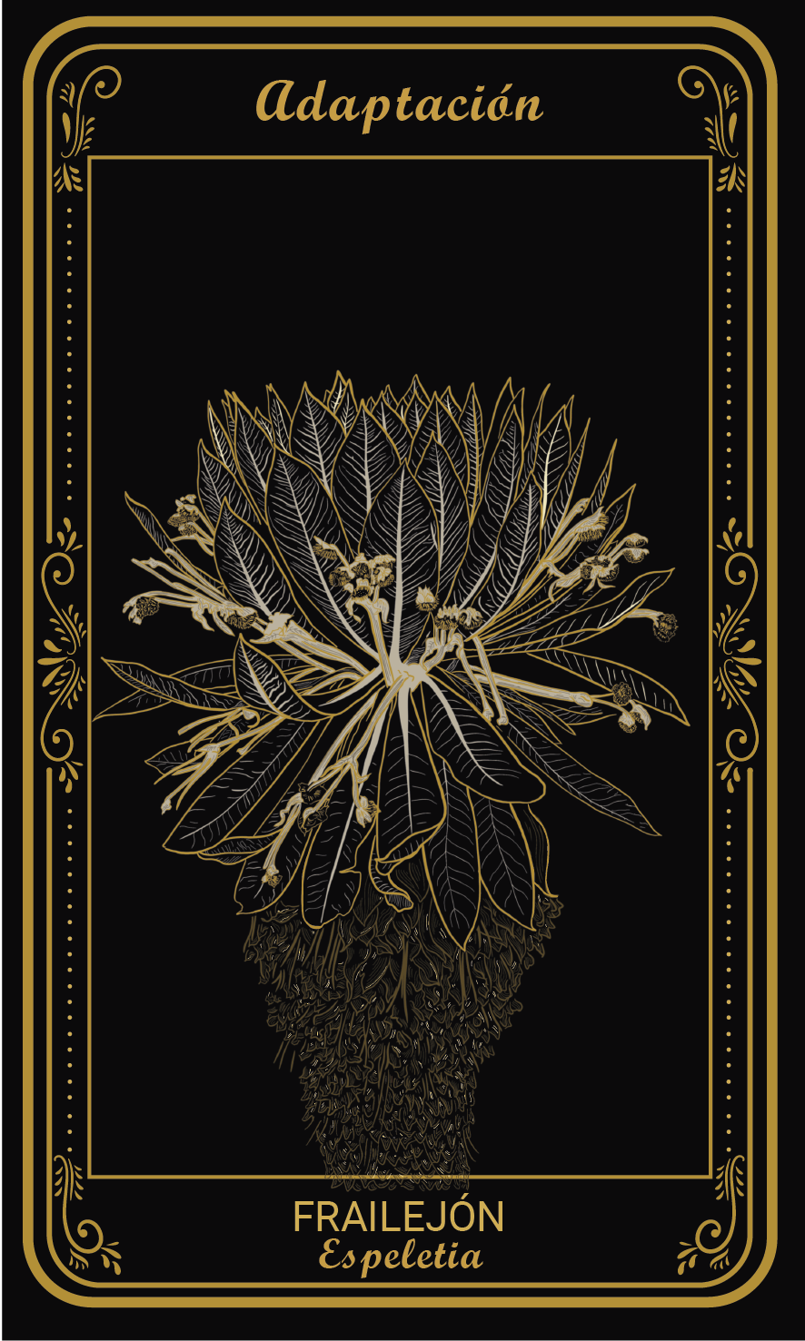 Tarot-cards
