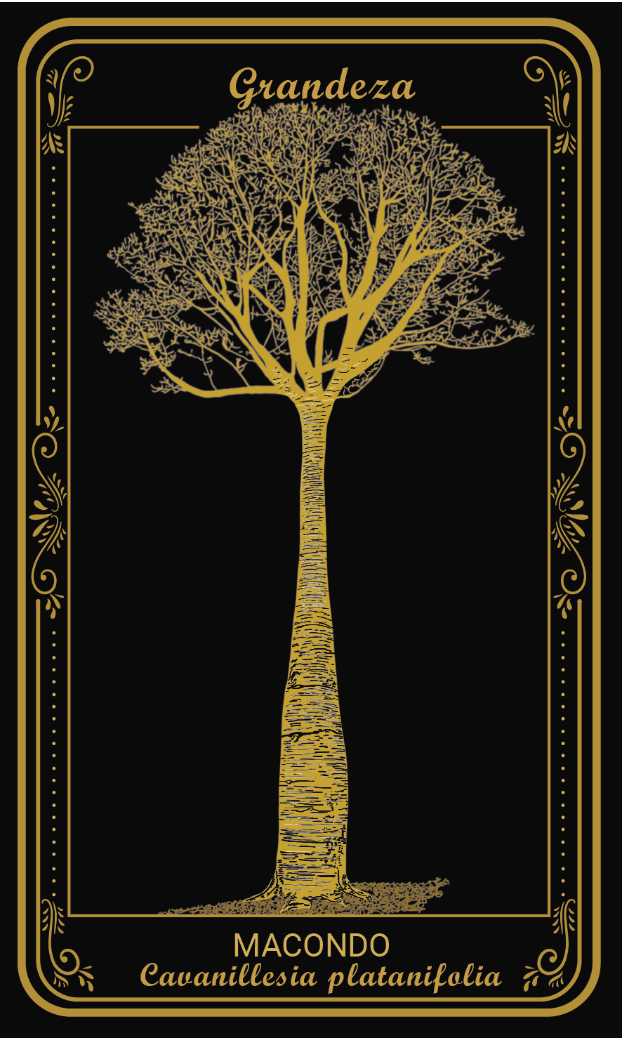 Tarot-cards