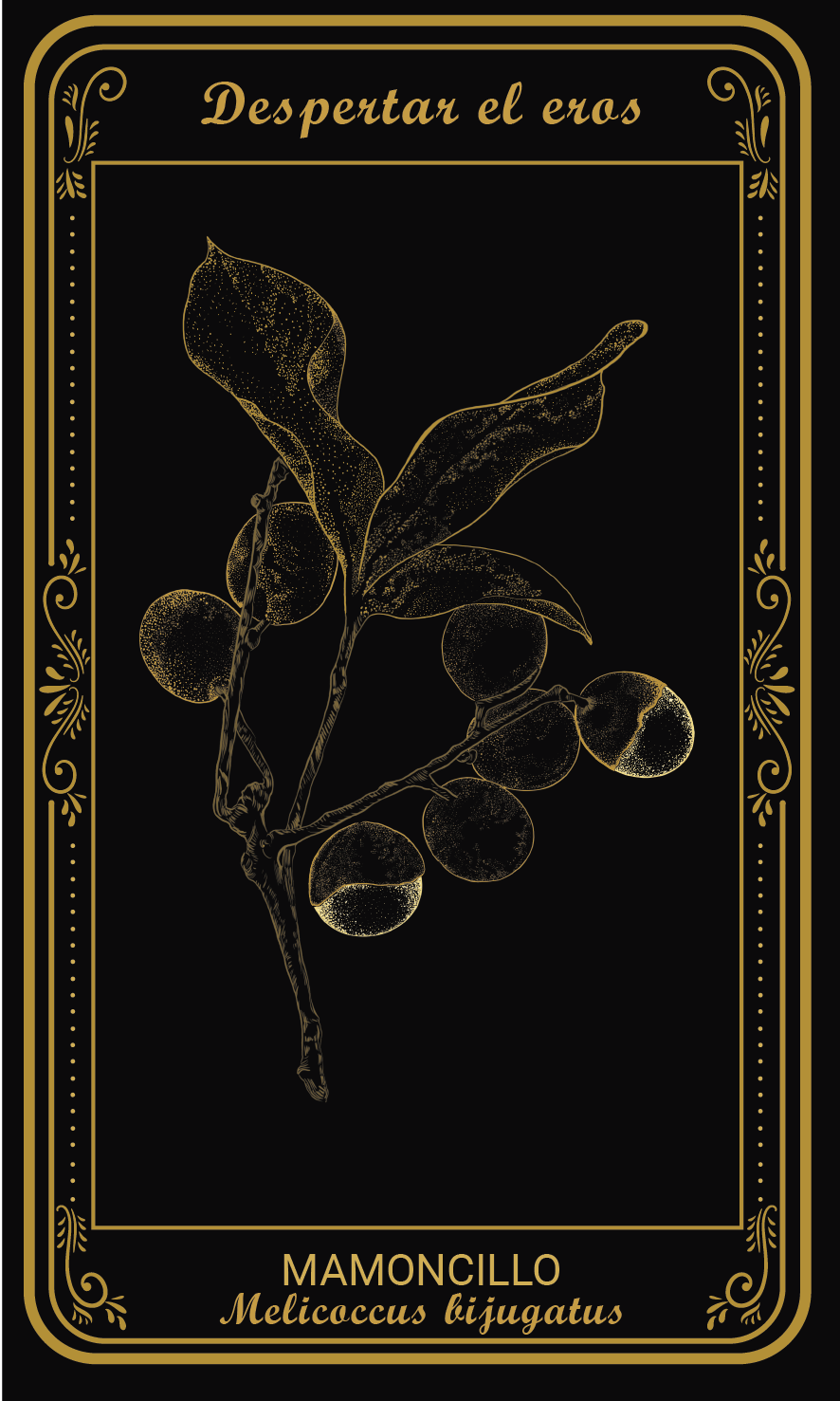 Tarot-cards