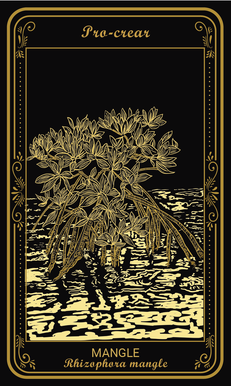 Tarot-cards