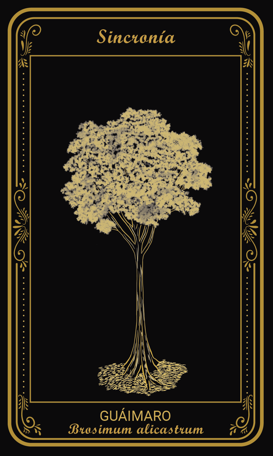 Tarot-cards