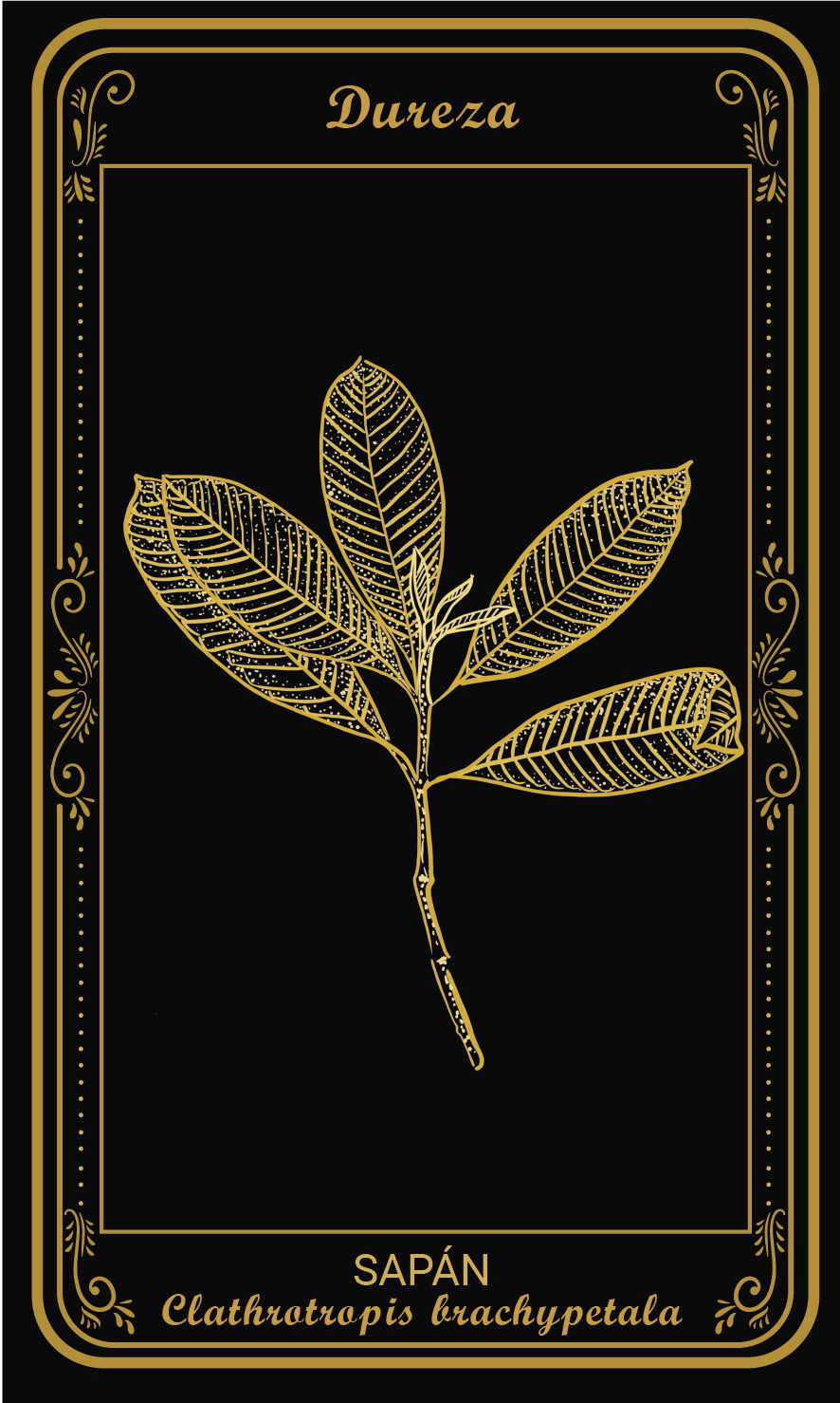 Tarot-cards