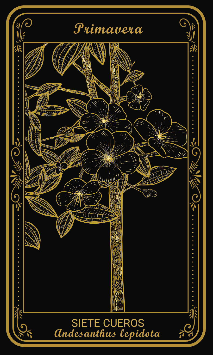 Tarot-cards