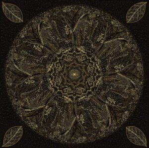 dendrarium 1
