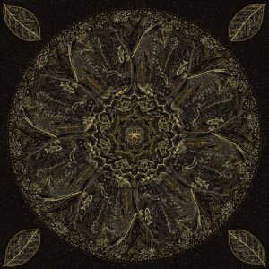 Dendrarium - Preventa Raíz